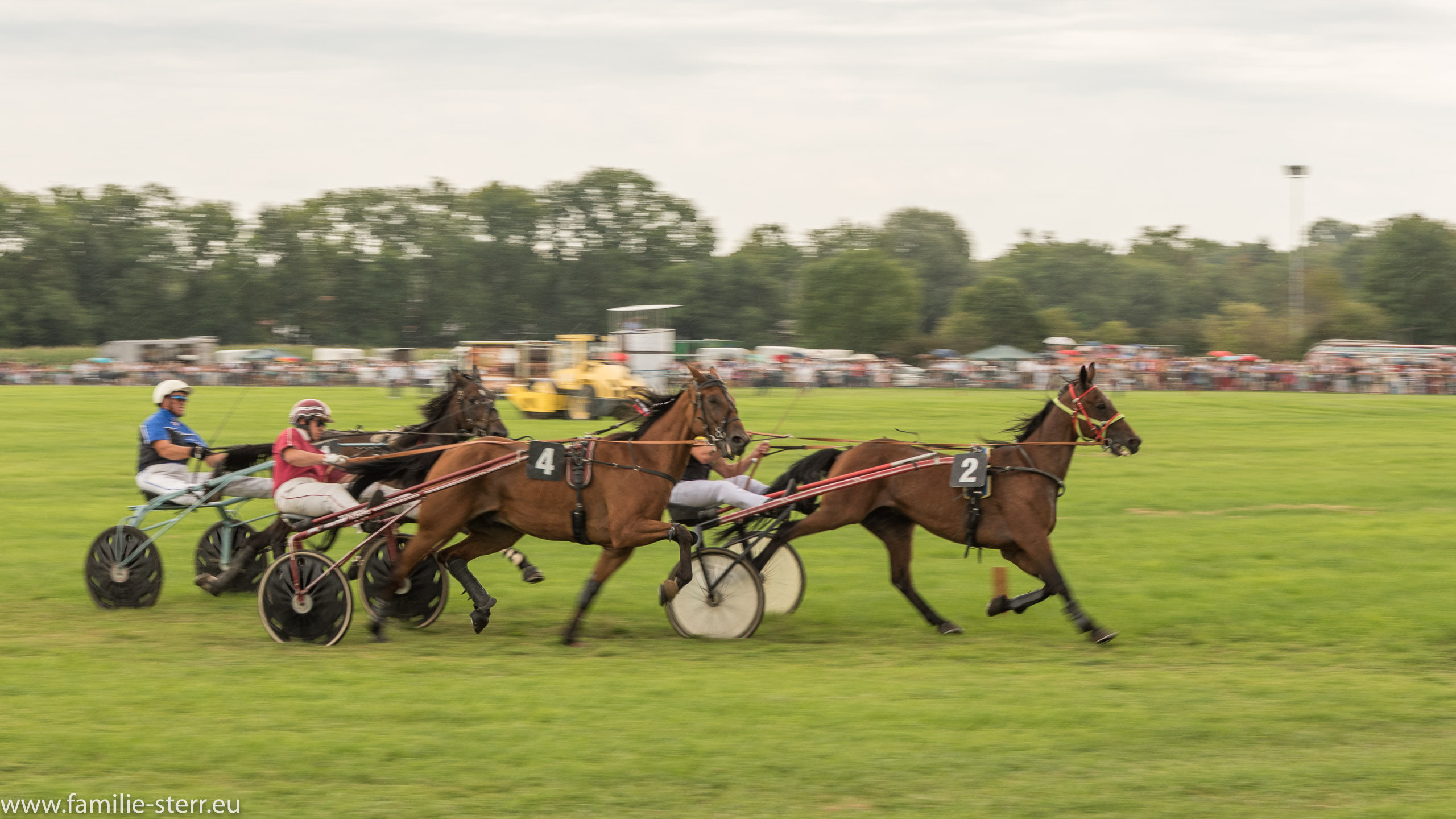 Trabrennen in Erding 2017